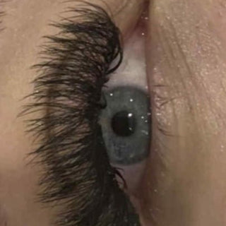 10D Clover Lash Sample Tray – 5 Rows