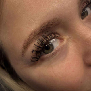 Premade Angel Lashes 5D Closed Fans 16 Row Single Length Trays