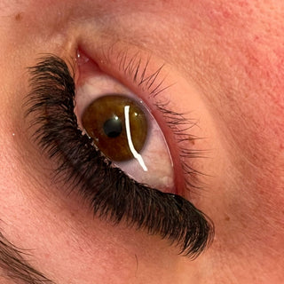 8D Clover Lashes – 16 Row Single Length Trays
