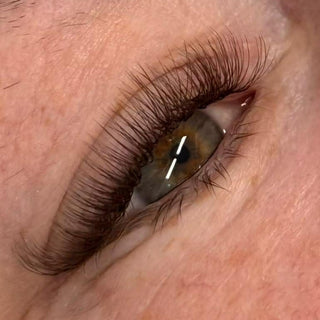 Brown U Collection Lashes – 2DU, 3DU, 4DU & 5DU Mixed Trays