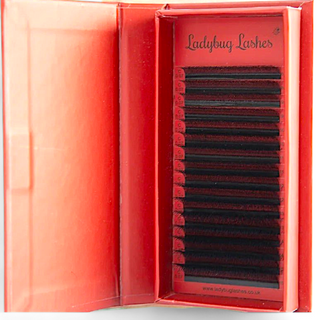 4D Clover Lashes – 16 Row Mixed Tray
