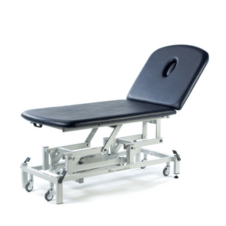 Seers 2 Section Electric Massage Table