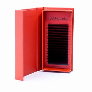 U Lash Trays 16 Row Mixed Length 2D (Double Classics), 3D, 4D & 5D