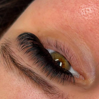 Platinum Volume Lashes – 16 Row Mixed Tray